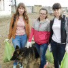 Поездка в приют для животных 