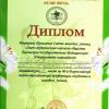 Диплом Зуб А.В. 2 место Казань