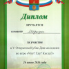 2016-06-26 Интеллектуальные игры клуба МЕДиУМ в День молодежи