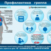 Профилактика гриппа