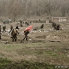 Военно-историческая реконструкция контрнаступления советских войск под Сталинградом