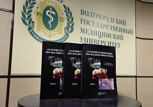 Определены лидеры научного коллектива ВолгГМУ по публикационной активности 